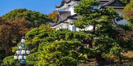 Императорский дворец в японии