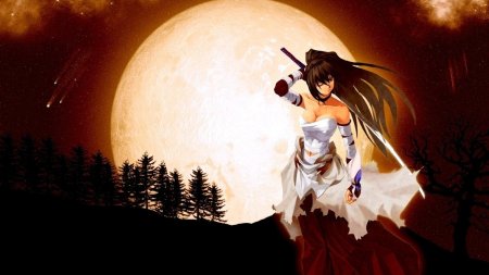 Аниме девушка самурай