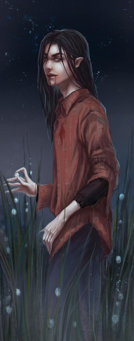 Слепой дом в котором