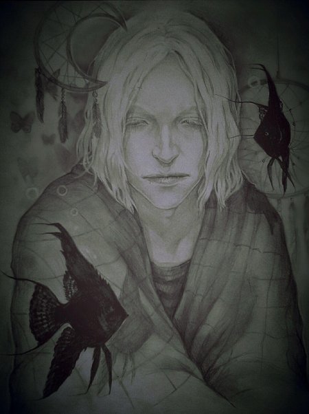 Дом в котором стервятник ангел ти