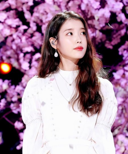 Lilac iu