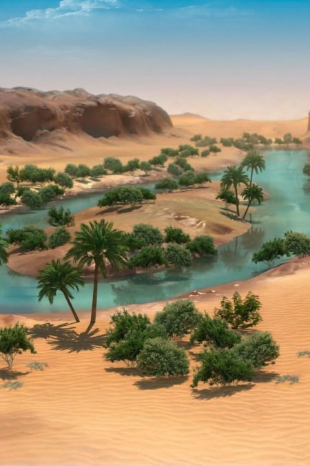 Египет оазис