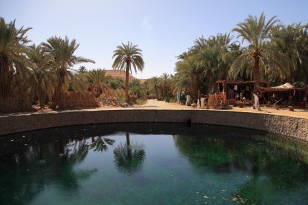 Оазис сива египет