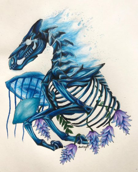 Арвак скайрим арт