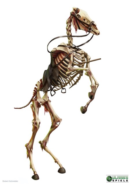 Horse skeleton
