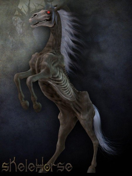 Келпи лошадь скелет