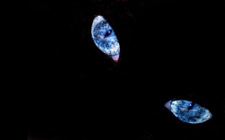 Голубые глаза в темноте