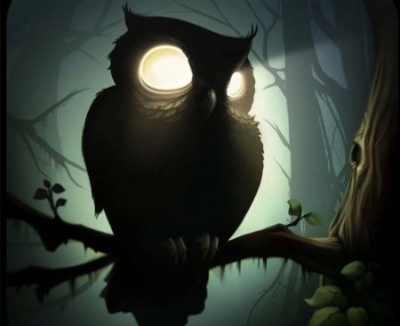 Найт оул / ночная сова (night owl)