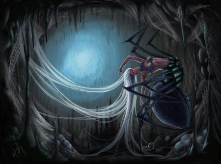 Паук фэнтези