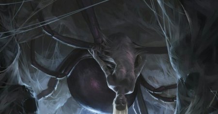 Паучиха ллос