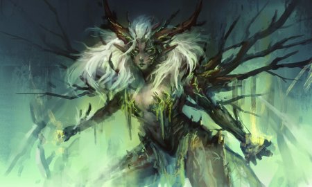 Сильва раса