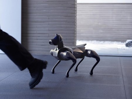 Xiaomi cyberdog