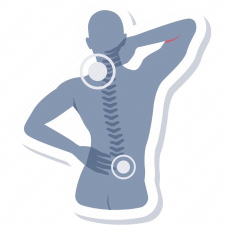 Стилизованный позвоночник