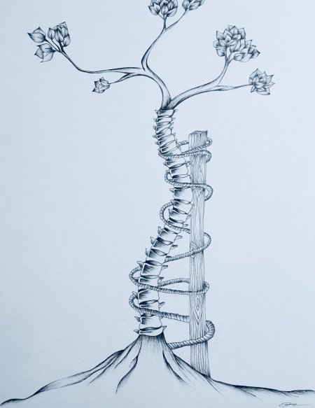 Позвоночник рисунок