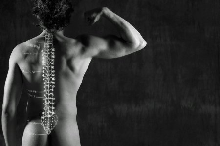 Здоровый позвоночник