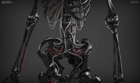 Vitaly bulgarov доспехи