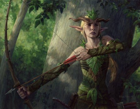 Лесной эльф друид днд