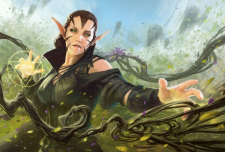 Nissa revane