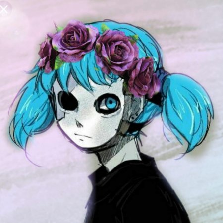 Салли фейс аниме