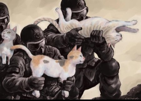 Кот омоновец