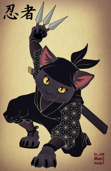 Кошка ниндзя