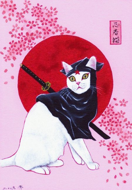 Котики в японском стиле