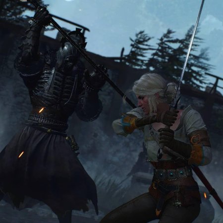 Ведьмак дикая охота цири