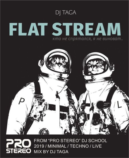 Кот космонавт