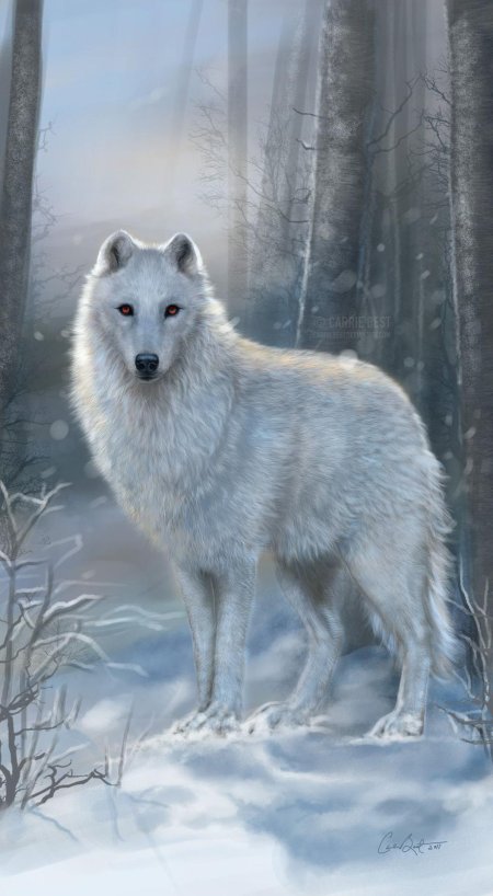 Лютоволк сноу