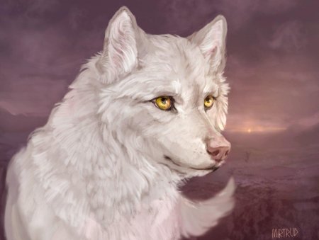 Белые волки