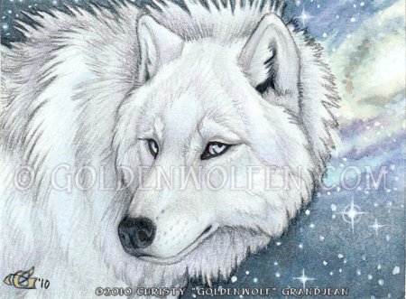 Кэрол каваларис волки