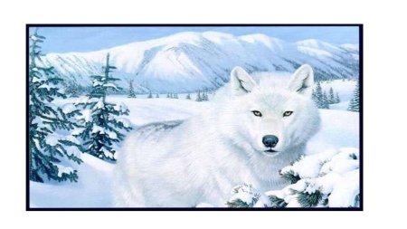 Белые волки