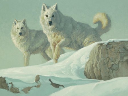 Анималист грег бичем