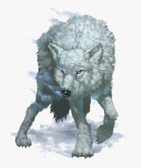 Полярный волк днд