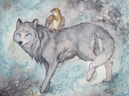 Волка рисунок