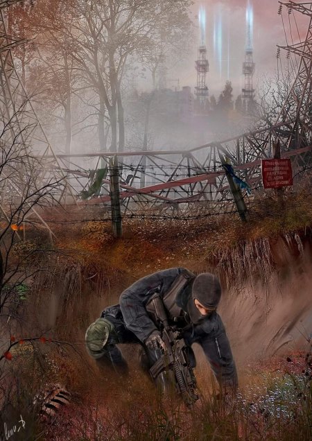 Сталкер чаэс арт