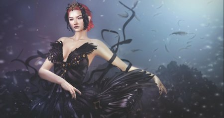 Принцесса лебедь черный