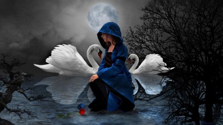 Лебединое озеро белый лебедь