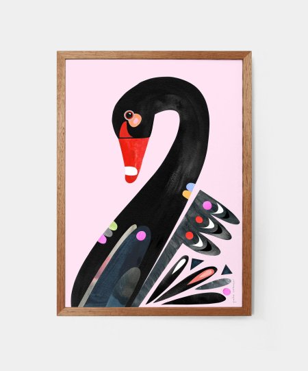 Черный лебедь образ