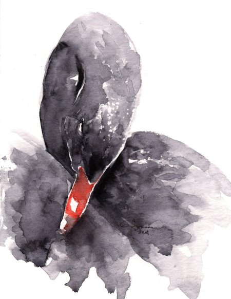 Черный лебедь акварелью