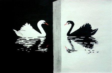 Белый и черный лебедь