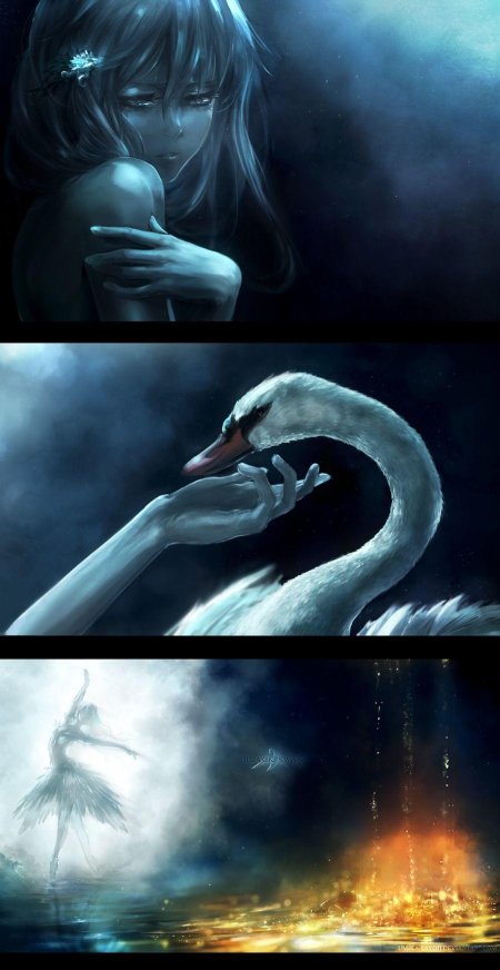 Черный лебедь аниме