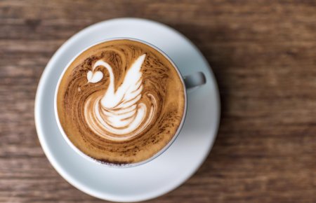 Латте арт лебедь