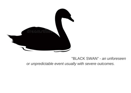 Лебеди черные