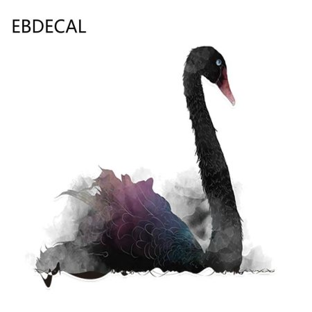 Черный лебедь феномен