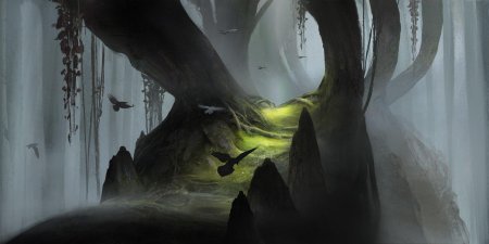 Концепт арт окружения лес