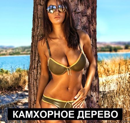 Эла саванас