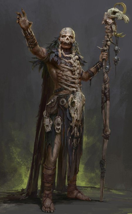 Barbarian shaman