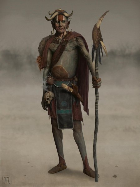 Днд шаман арт