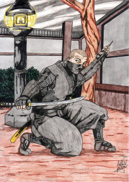 Самурай ниндзя